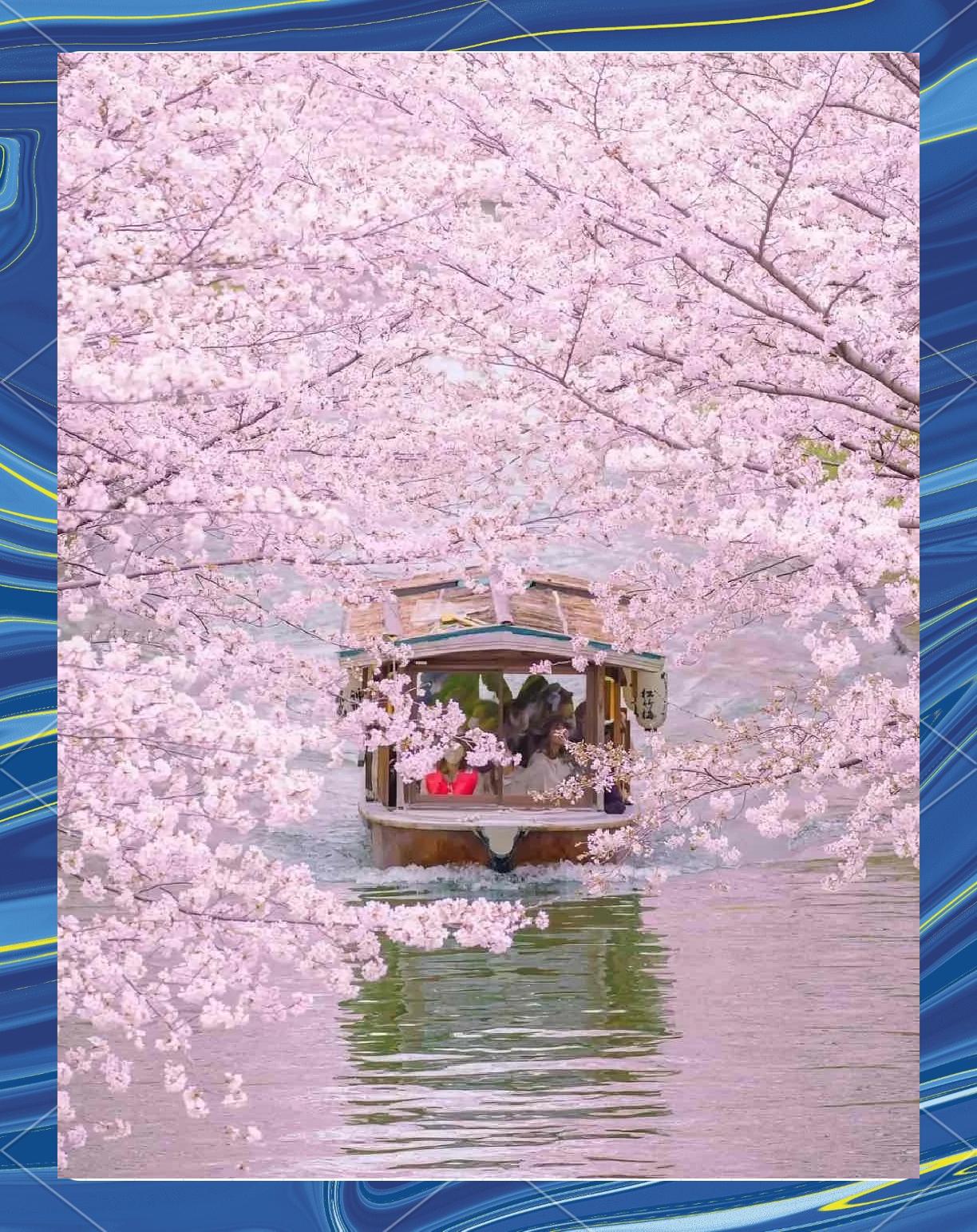 Osaka Sakura (Osaka Sakura vs)